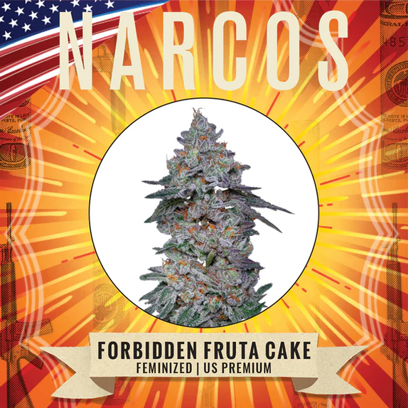 Forbidden Fruta Cake (Narcos Seeds) Cannabis Seeds