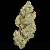 LIMITED EDITION Cherry 7up Auto (Growers Choice Seeds) Cannabis Seeds