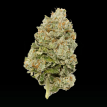 LIMITED EDITION Lemon Zkittlez Auto (Growers Choice Seeds) Cannabis Seeds