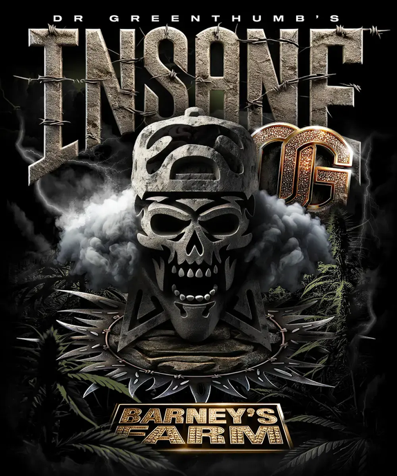 Insane OG (Barneys Farm Seeds) Cannabis Seeds