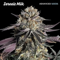 Zerealz Milk (Advanced Seeds) Cannabis Seeds
