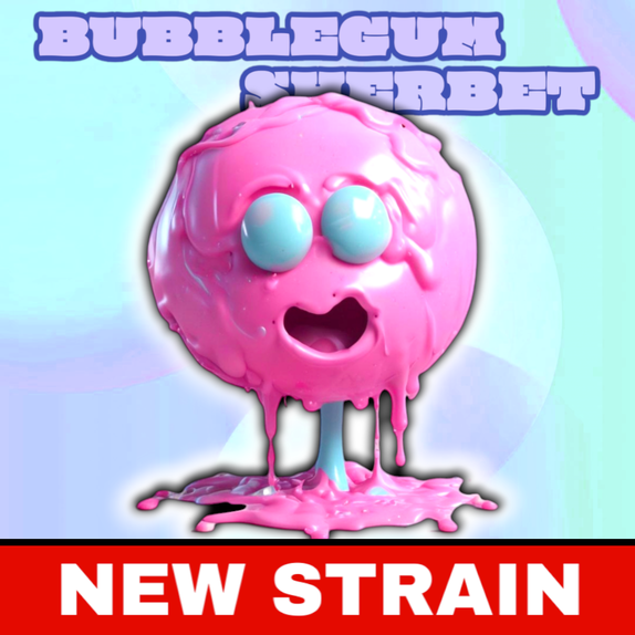 Bubblegum Sherbet (BSB Genetics Seeds) Cannabis Seeds
