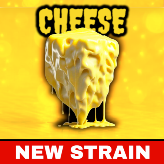 Cheese (BSB Genetics Seeds) Cannabis Seeds
