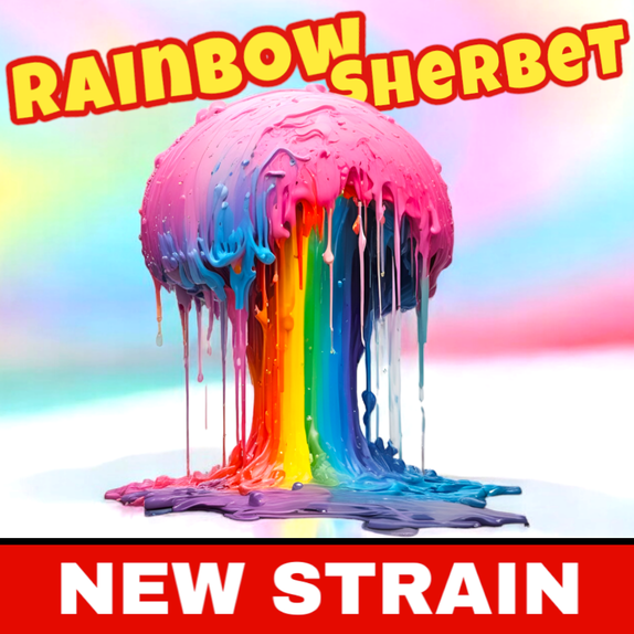 Rainbow Sherbet (BSB Genetics Seeds) Cannabis Seeds