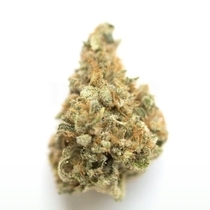 Mango Kush Feminised (Discreet Seeds) Cannabis Seeds