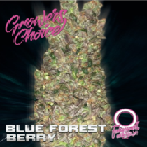  Blue Forest Berry Auto (Growers Choice Seeds) Cannabis Seeds