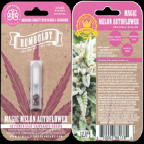 Magic Melon Auto (Humboldt Seed Company) Cannabis Seeds