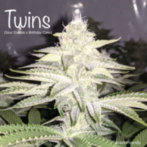 Twins (Cannarado Genetics) Cannabis Seeds