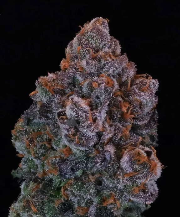 Green Apple Candy (Atlas Seeds) Cannabis Seeds
