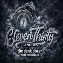 The Dank Dozen (Mixed Feminised pack) (ElevenThirty Genetics) DAILYDEAL Cannabis Seeds