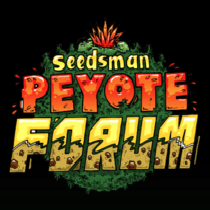 Peyote Forum Feminised (Seedsman Seeds) Cannabis Seeds