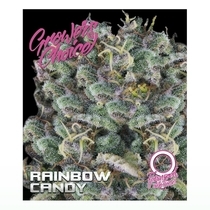Rainbow candy Auto (Growers Choice Seeds) Cannabis Seeds