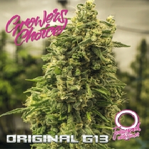 Original G13 Auto (Growers Choice Seeds) Cannabis Seeds