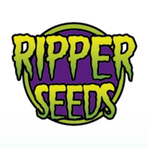Do-Si-Dos x Zombie Kush (Ripper Seeds) Cannabis Seeds
