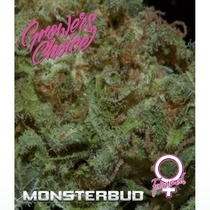 Monsterbud (Growers Choice Seeds) Cannabis Seeds