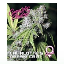 Charlottes Dream CBD (Growers Choice Seeds) Cannabis Seeds