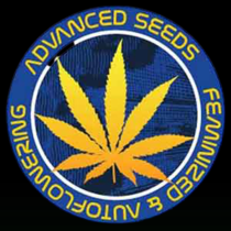 Bruce Banner (Advanced Seeds) Cannabis Seeds