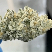 L.A Banana Cake Feminised (Black Farm Genetix Seeds) Cannabis Seeds