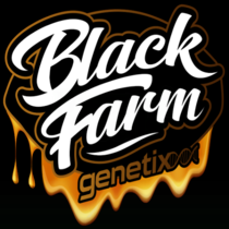 Orange Cane Feminised (Black Farm Genetix Seeds) Cannabis Seeds