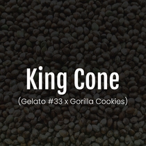 King Cone Feminised (Elev8 Seeds) Cannabis Seeds