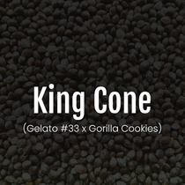King Cone Feminised (Elev8 Seeds) Cannabis Seeds