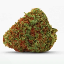 Orange Bud Auto Feminised (Discreet Seeds) Cannabis Seeds