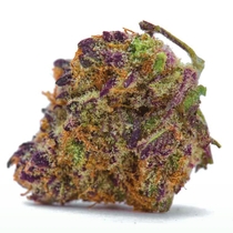 Purple Haze Auto Feminised (Discreet Seeds) Cannabis Seeds