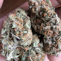 OG Lemon Garlic Feminised (BSB Genetics Seeds) Cannabis Seeds