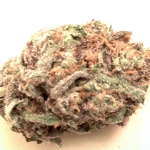 Skywalker Cookies Feminised (BSB Genetics Seeds) Cannabis Seeds