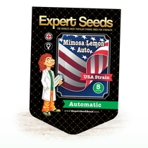 Mimosa Lemon Auto Feminised (Expert Seeds) Cannabis Seeds