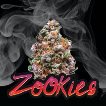 Zookies Feminised (Discreet Seeds) Cannabis Seeds