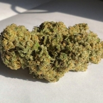 Sherbert Pebbles (Dank Genetics Seeds) Cannabis Seeds