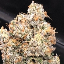 Dankalato (Dank Genetics Seeds) Cannabis Seeds