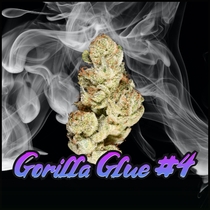 Gorilla Glue #4 Feminised (Discreet Seeds) Cannabis Seeds