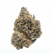 Rainbow Runtz Feminised (Growers Choice Seeds) Cannabis Seeds