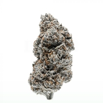 Tangerine Sherbet Feminised (Growers Choice Seeds) Cannabis Seeds
