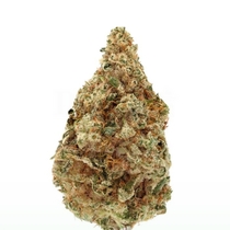 Charlottes Dream CBD Auto (Growers Choice Seeds) Cannabis Seeds