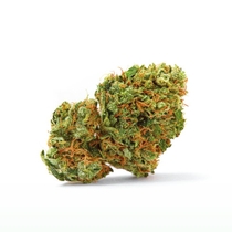 Grapefruit x Bubblegum Auto (Growers Choice Seeds) Cannabis Seeds