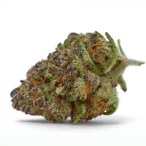 Purple Sunset Auto (Growers Choice Seeds) Cannabis Seeds