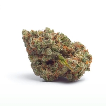 Tropicana Wedding Cake Auto (Growers Choice Seeds) Cannabis Seeds