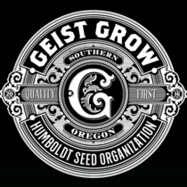 Banana Ghost Feminised (Geist Grow seeds) Cannabis Seeds