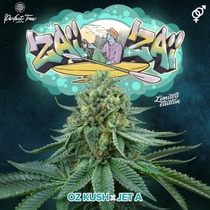 ZaiZai Regular (Perfect tree seeds) Cannabis Seeds