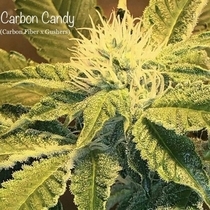 Carbon Candy (Cannarado Genetics) Cannabis Seeds