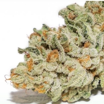 Thor's Hammer Regular (Massive Creations Seeds) Cannabis Seeds