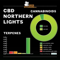 CBD Northern Lights Feminised (SeedStockers Seeds) Cannabis Seeds