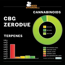 CBG Zero Due Feminised (SeedStockers Seeds) Cannabis Seeds