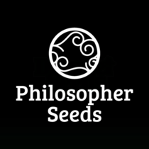 Bruce Banner Regular Cannabis Seeds