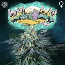 ZaiZai Feminised (Perfect tree seeds) Cannabis Seeds
