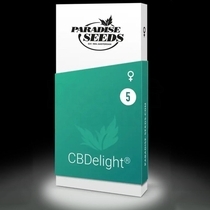 CBDelight Feminised (Paradise Seeds) Cannabis Seeds