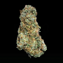 Big Bruce feminised (Mega Buds) Cannabis Seeds